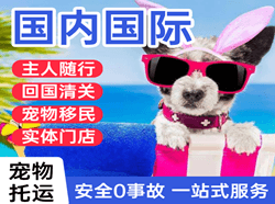 上饶三清山机场物流国际宠物托运 【国